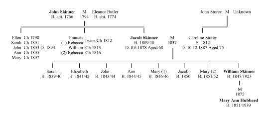 famtree1.gif (7713 bytes)